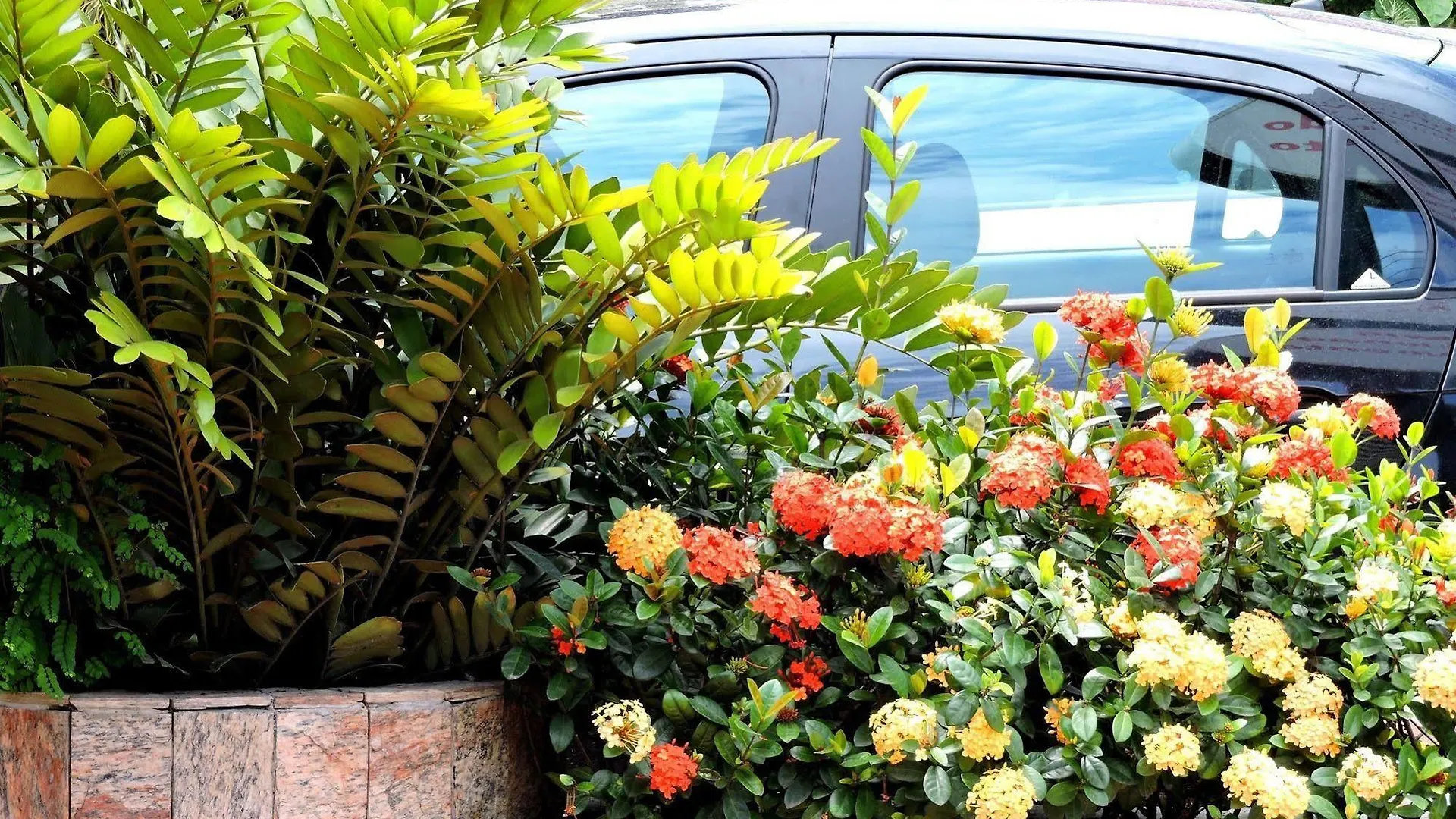 Pousada Pedra Rosa Florianopolis 2*,