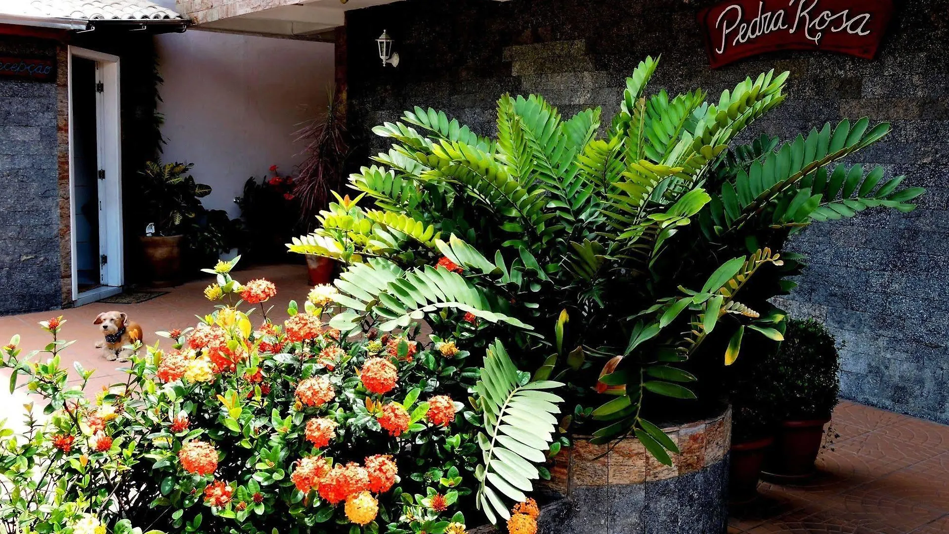 ** Inn Pousada Pedra Rosa Florianopolis Brazil